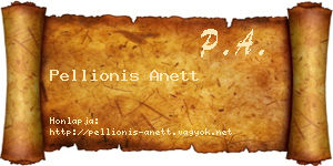 Pellionis Anett névjegykártya